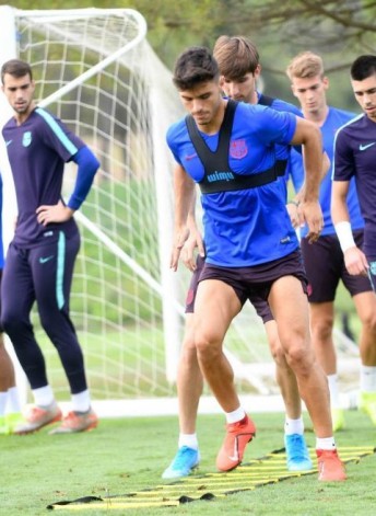 Training Camps
