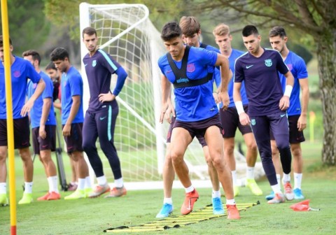 Training Camps